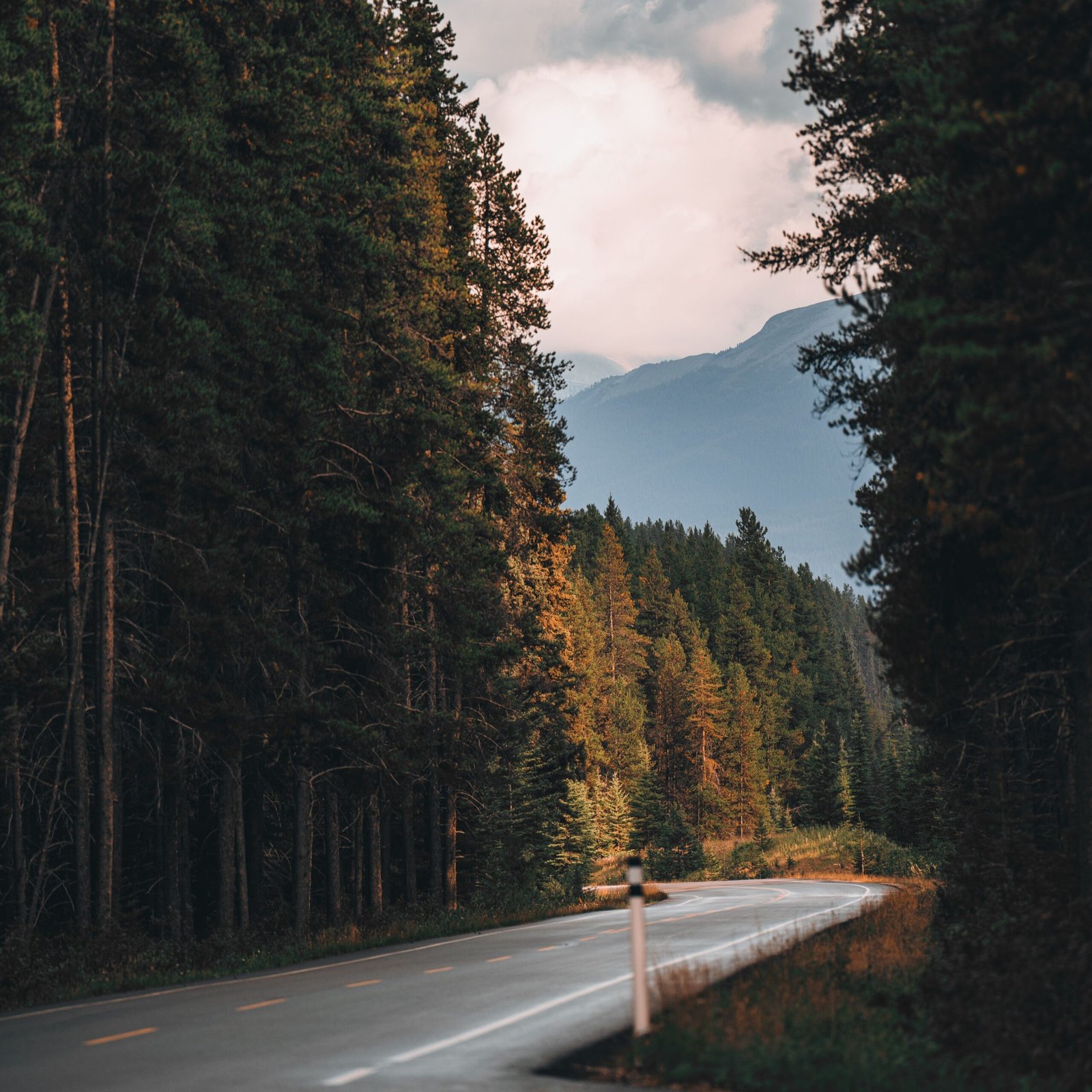 Banff National Park