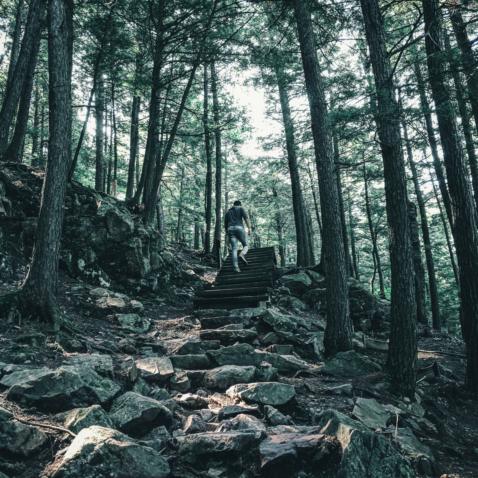 Gatineau Park