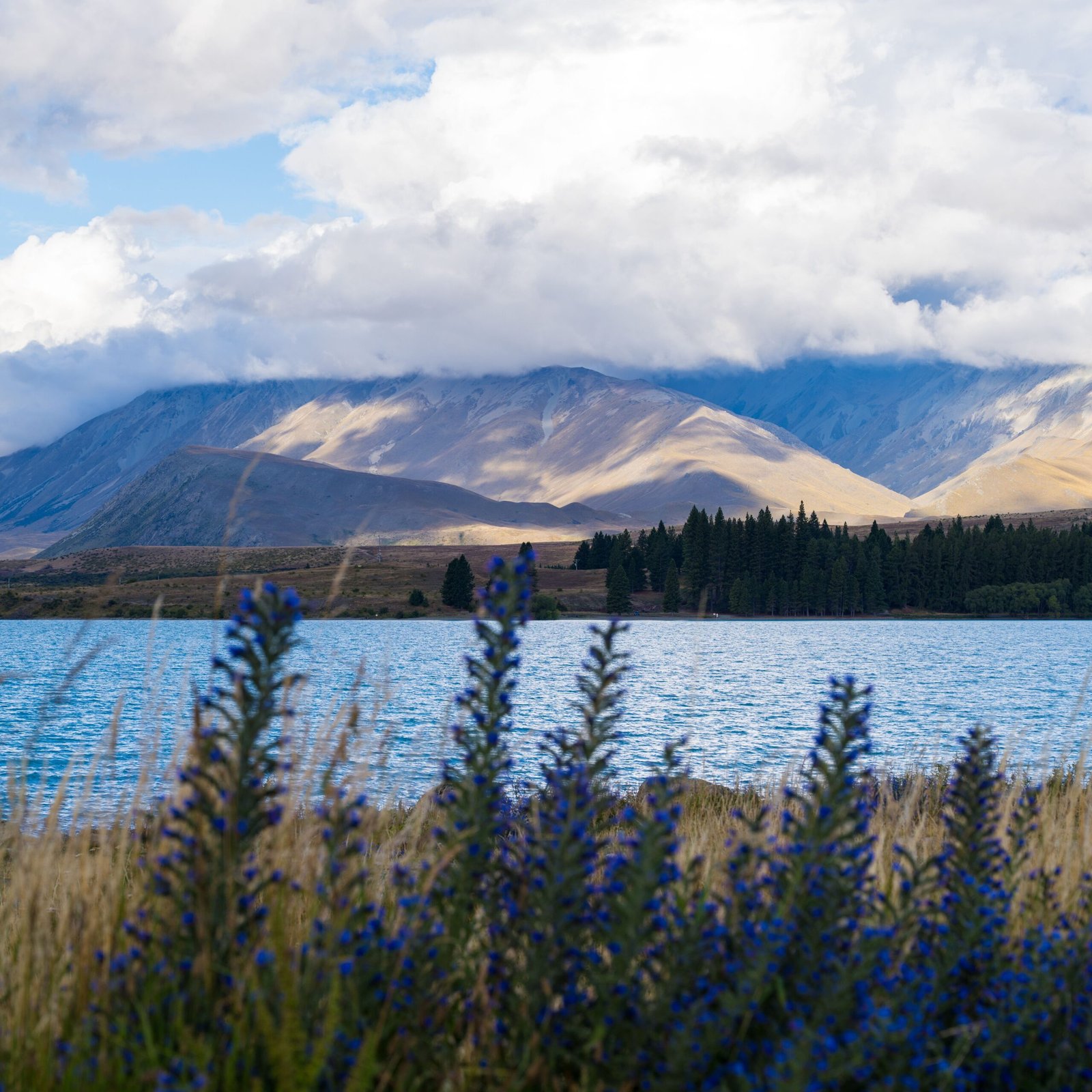 Lake Tekapo