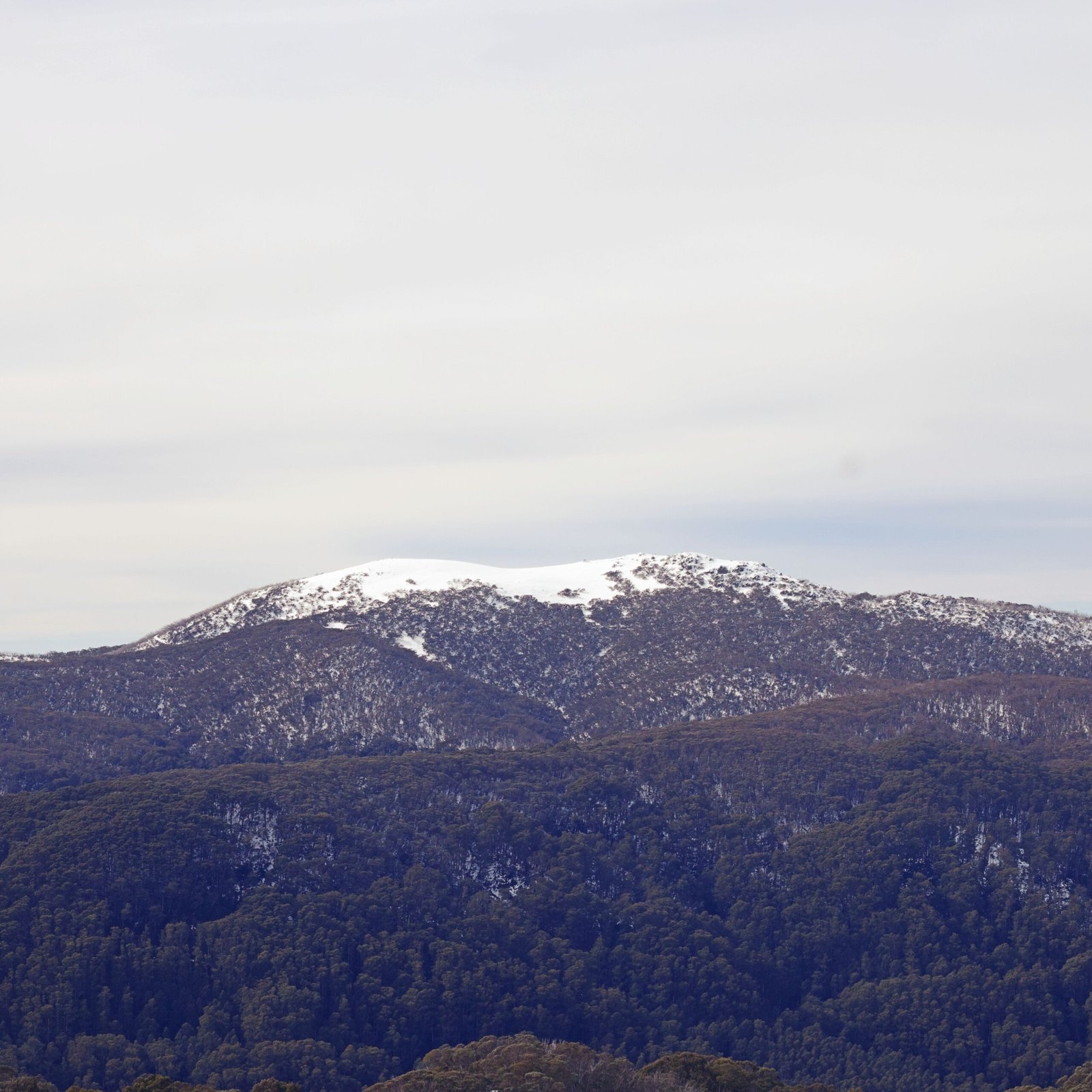 Mount Victoria
